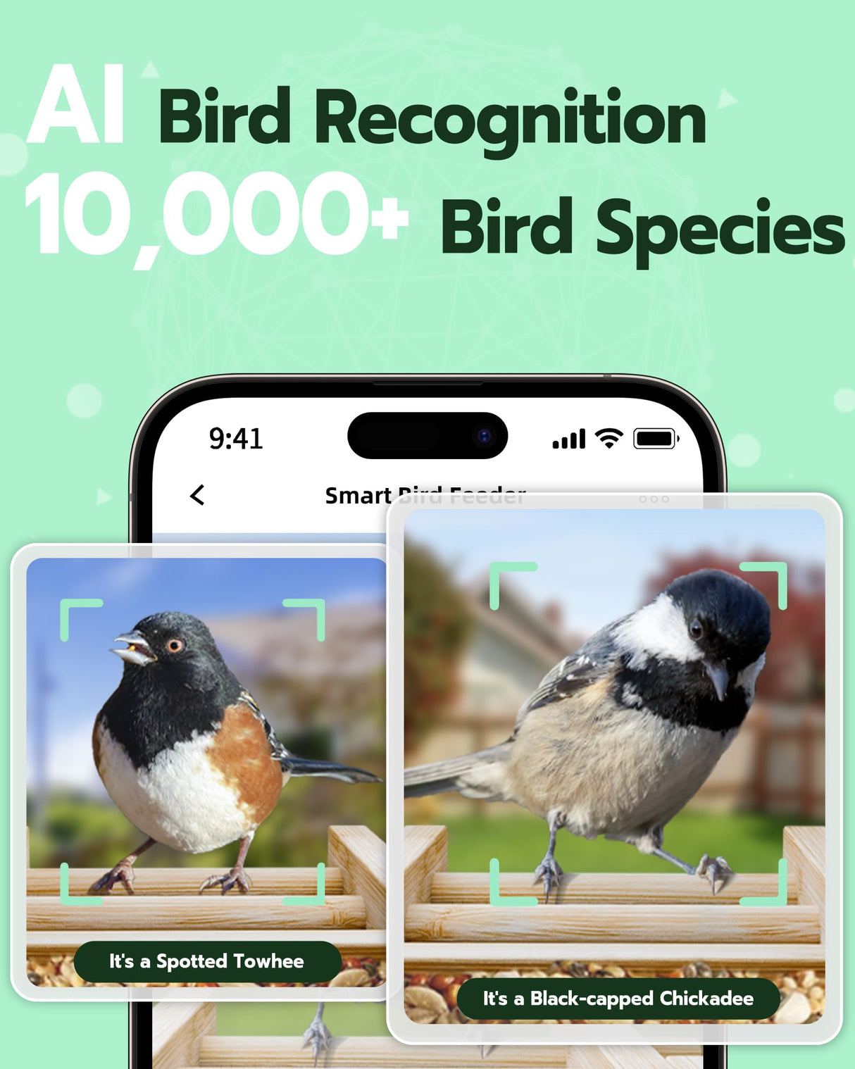 VISIOGEAR Bird Feeder with Camera, Smart Bird Feeder for Outdoors, Wild Bird Feeders with Solar Panel Bamboo Bird House Camera for Bird Lovers, AI Auto Capture Bird & Real-time Notification (Gable) VISIOGEAR