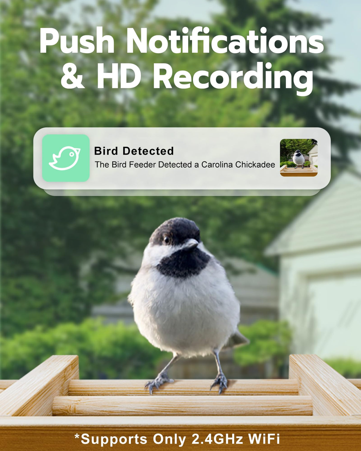 VISIOGEAR Bird Feeder with Camera, Smart Bird Feeder for Outdoors, Wild Bird Feeders with Solar Panel Bamboo Bird House Camera for Bird Lovers, AI Auto Capture Bird & Real-time Notification (Gable) VISIOGEAR