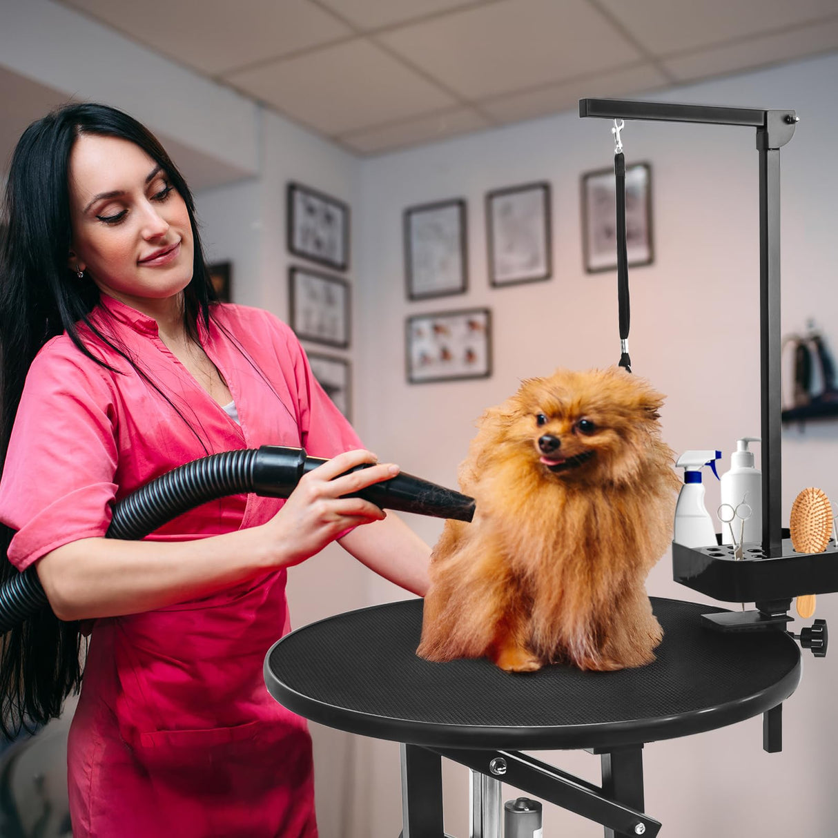 SHMQYSY Electric Dog Grooming Table, Height Adjustable Pet Grooming Table for Small Dogs at Home, Professional Electric Lift Table with Anti-Scratch Tabletop and Foldable Arm (24", Black) SHMQYSY