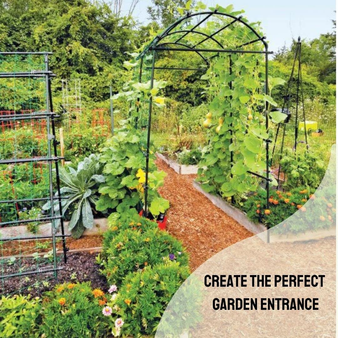 Gardener’s Supply Company Extra Tall Garden Arch Arbor | 80 Inch Tall Titan Squash Tunnel | Lightweight Metal, Trellis Plant Stand for Climbing Vines | Outdoor Lawn Tower & Support Structure Gardener's Supply Company