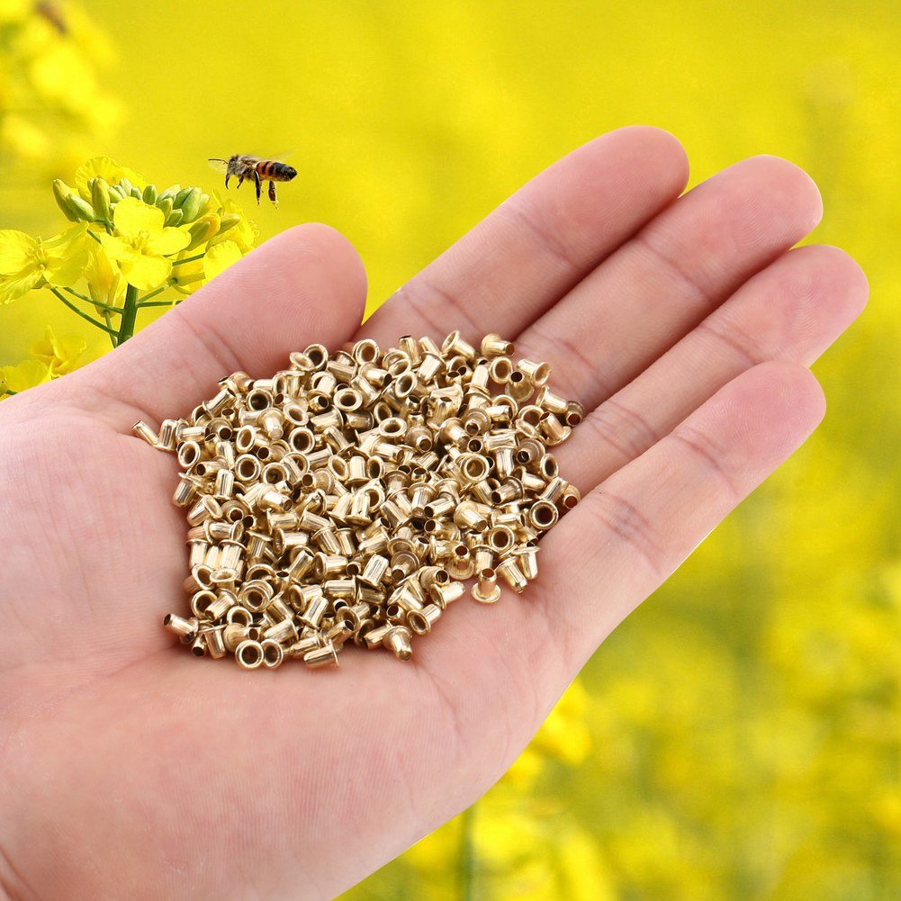 Walfront 700pcs Beehive Nest Box Frame End Threading Hole Eyelets Bee Frame Eyelet Beekeeping Tools Wooden Frame Eyelet to Minimize Damage to The Wood Walfront