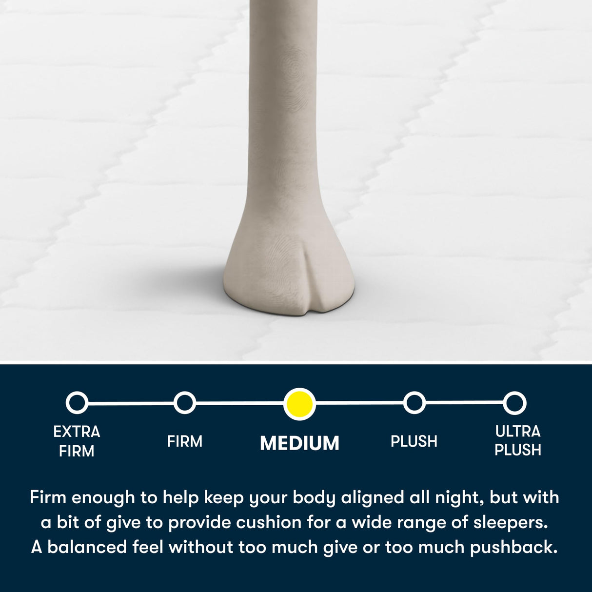 Serta Five Star Mattress Tranquility 8-Inch Medium – Queen– Zoned Lumbar Support, Cooling Foam, Pressure Relief – Bed-in-a-Box – 100 Night Trial, 10-Year Limited Warranty Serta