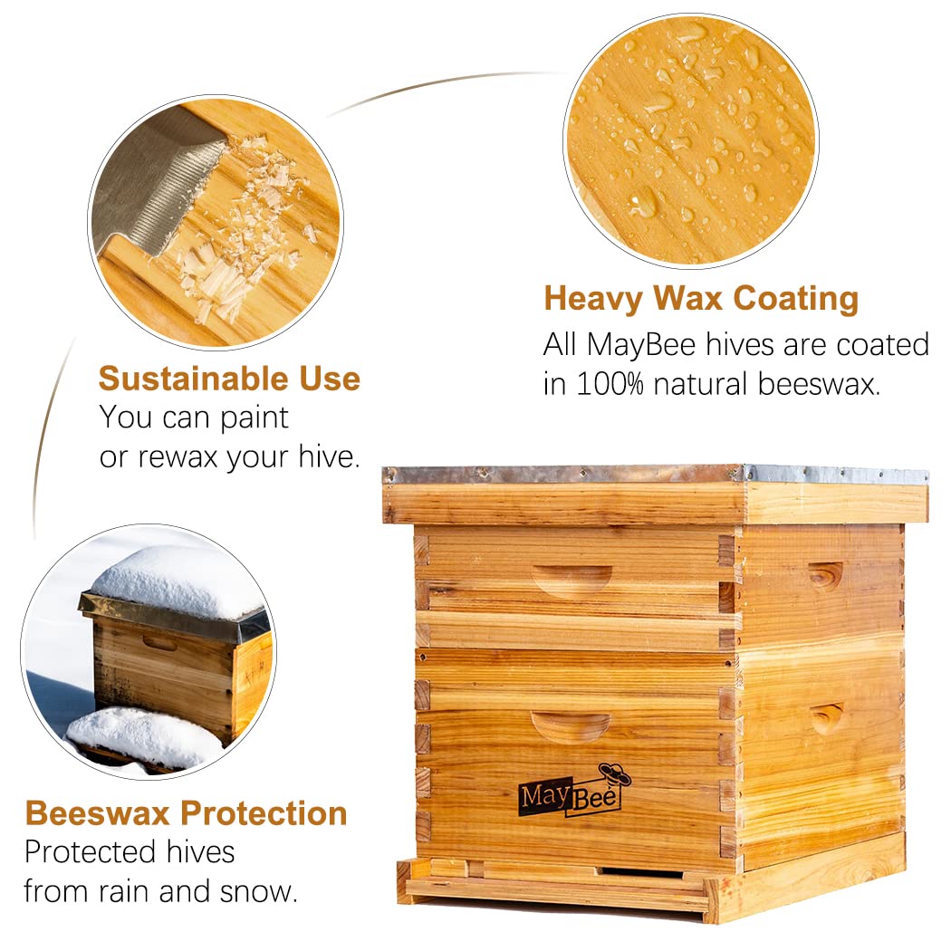 Bee Hive 10 Frame Bee Hives and Supplies Starter Kit, Bee Hive for Beginner, Honey Bee Hives Includes 1 Deep Bee Boxes, 1 Bee Hive Super with Beehive Frames and Foundation MayBee