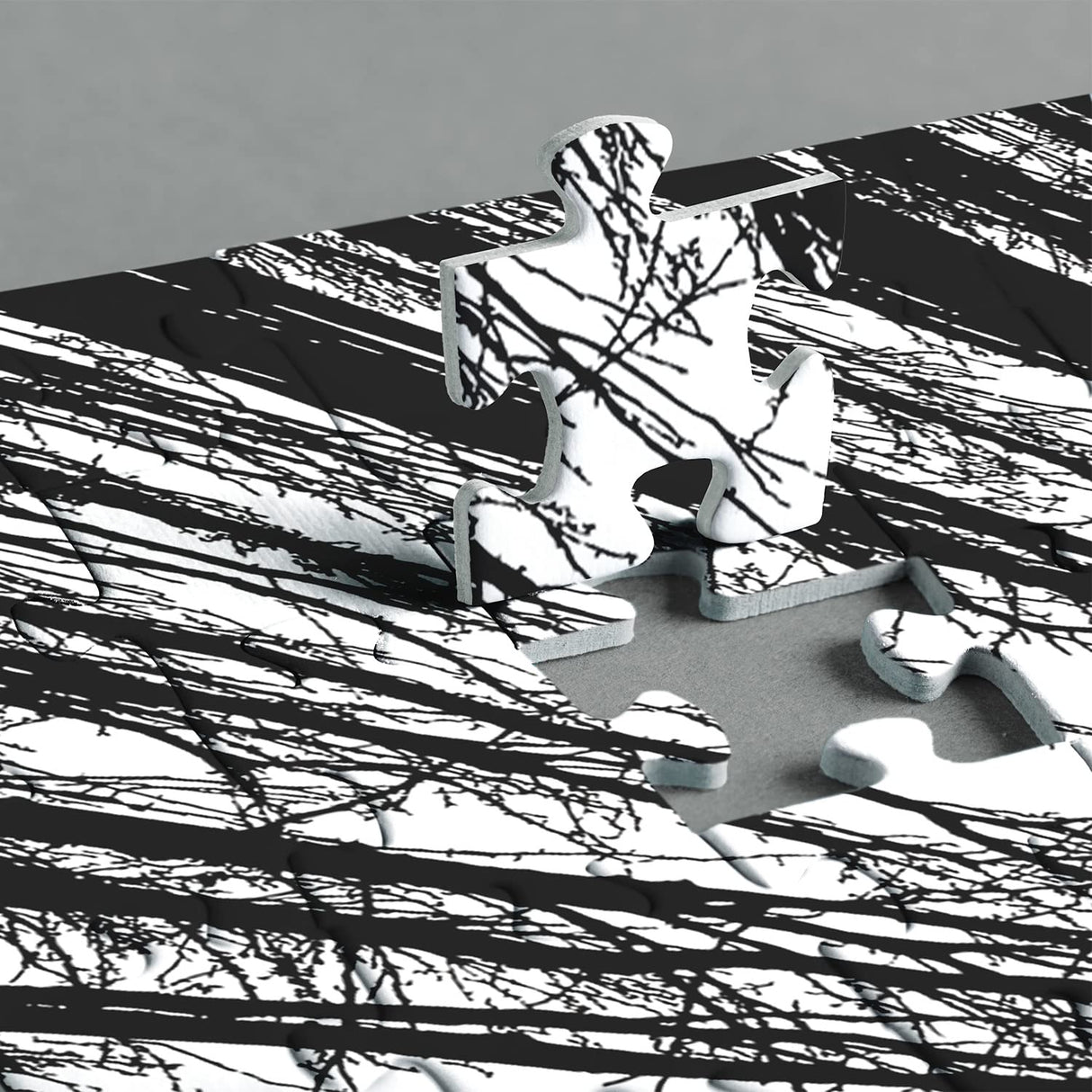 Impossible Puzzle 1000 Piece, Challenging Difficult Puzzles for Adults, Hard Jigsaw Puzzles for Adults BBOLDIN