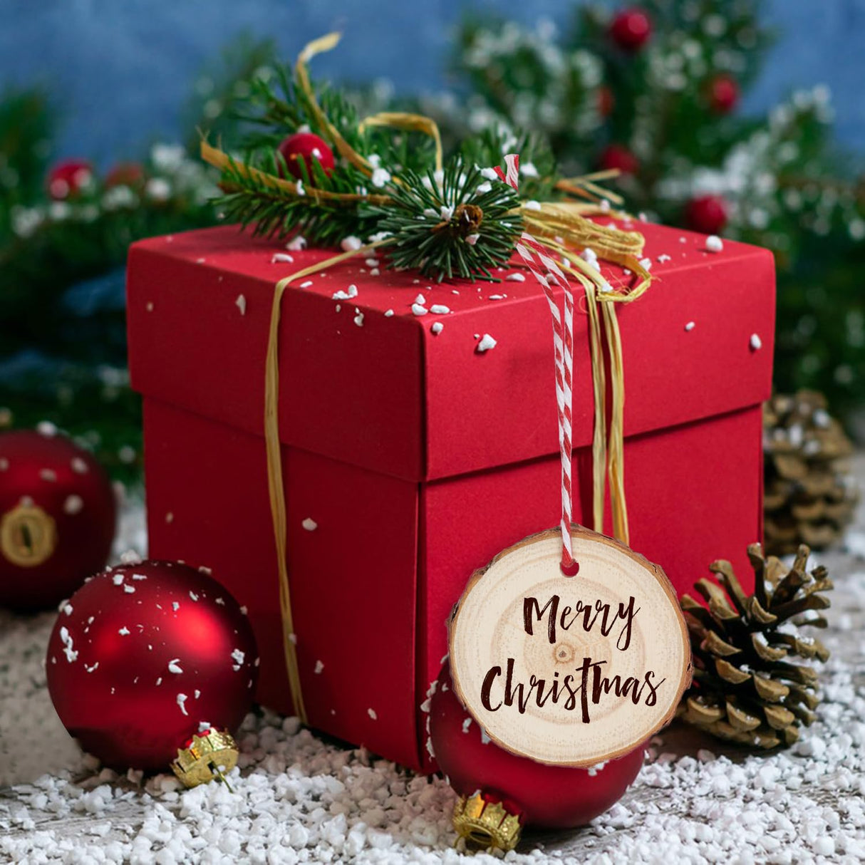 80 PCS 2.4-2.8 Inch Unfinished Wood Slices, Natural Wood Slices, Predrilled with Hole Wood Slice for DIY Arts Craft Christmas Ornaments GNIEMCKIN