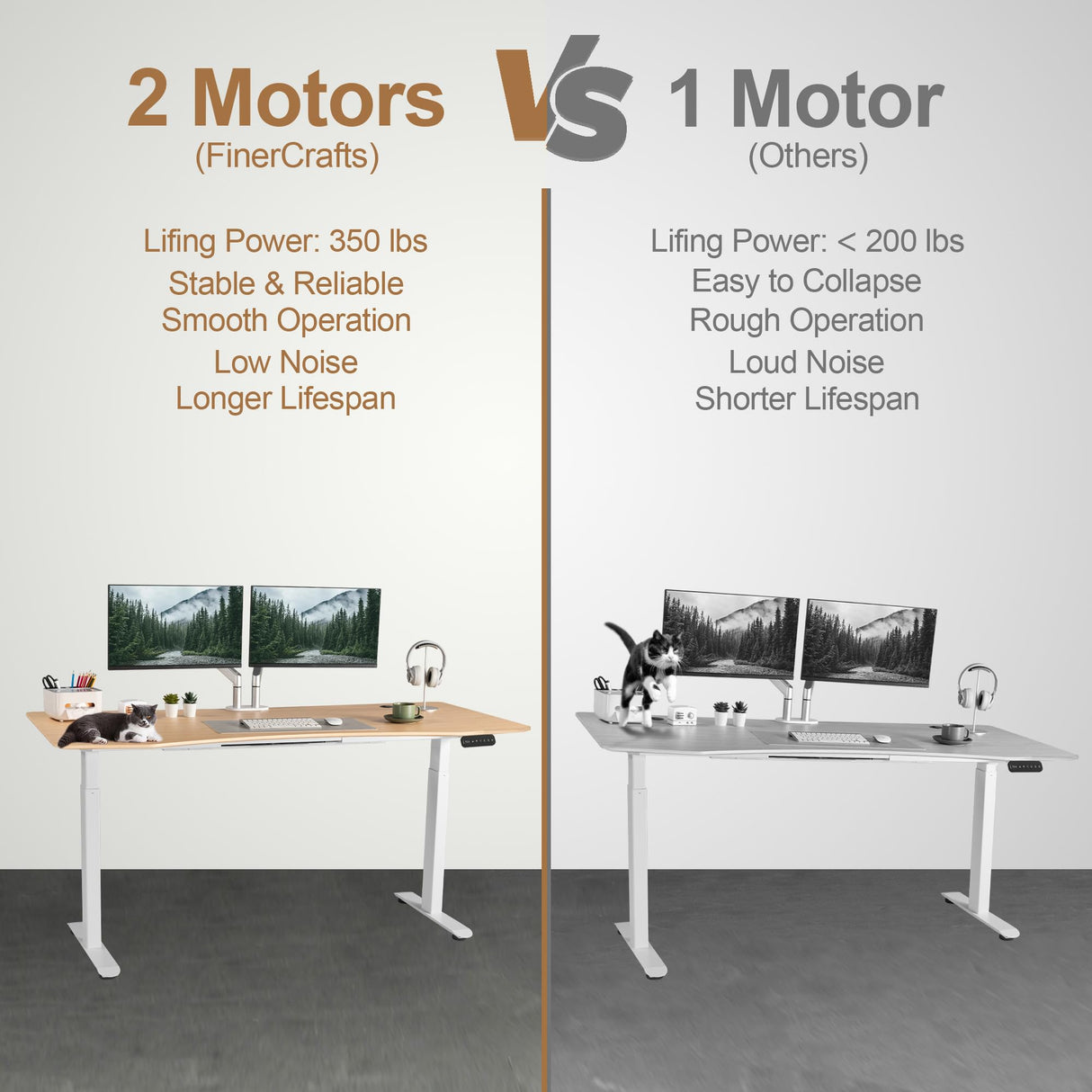 FinerCrafts Electric Standing Desk 71 x 32 Inches Dual-Motor Height Adjustable Desk Electric Sit Stand Desk Home Office Desks Whole Piece Desk Board (Natural Maple Desktop/White Frame) FinerCrafts