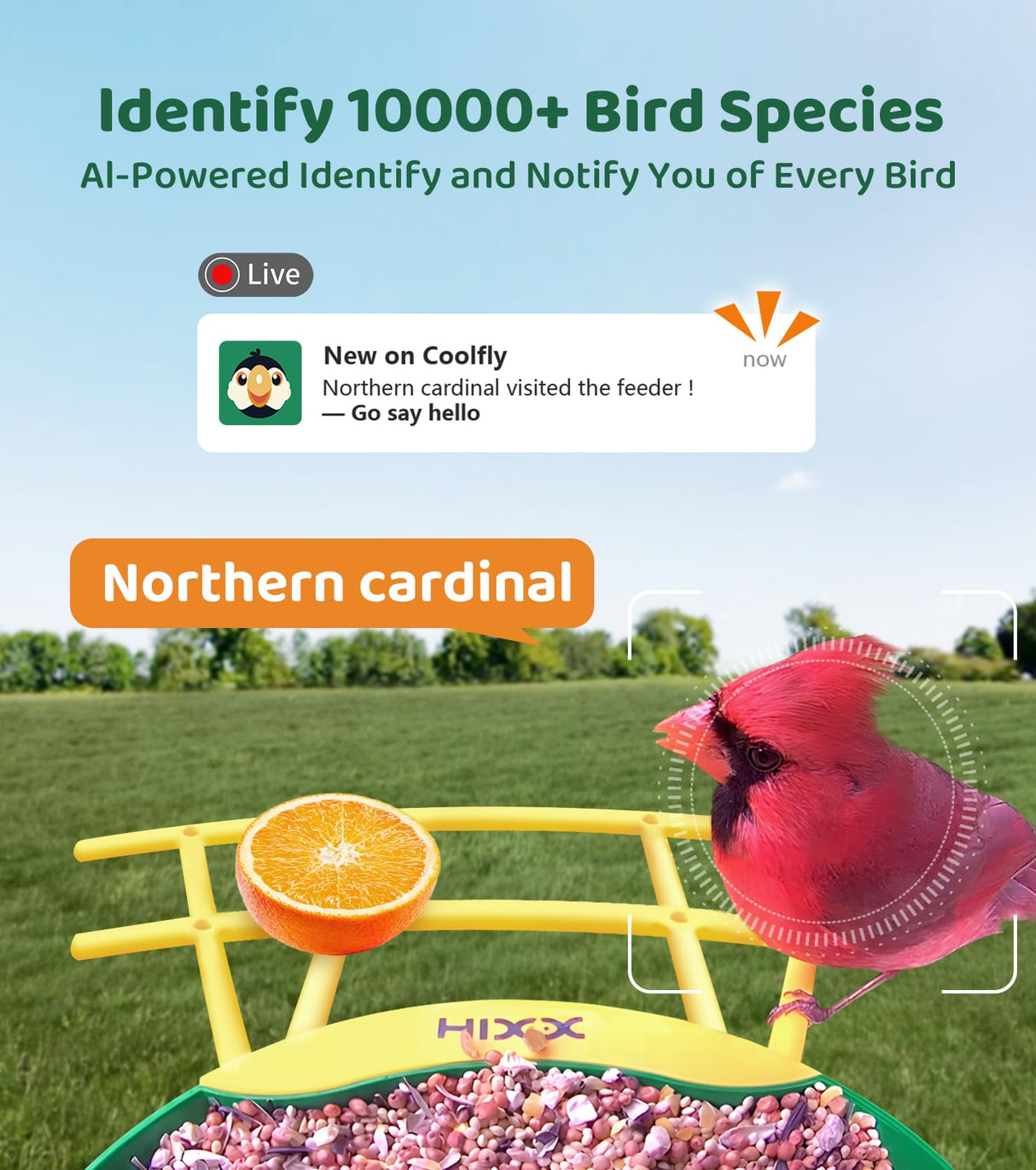 HIXX® Smart Bird Feeder with Camera, Birdwatching Camera with AI Identify Bird Species & Solar Panel, Auto Bird Video Capture & Instant Notifications, Bird Camera Feeder for Bird Lovers, Green HIXX