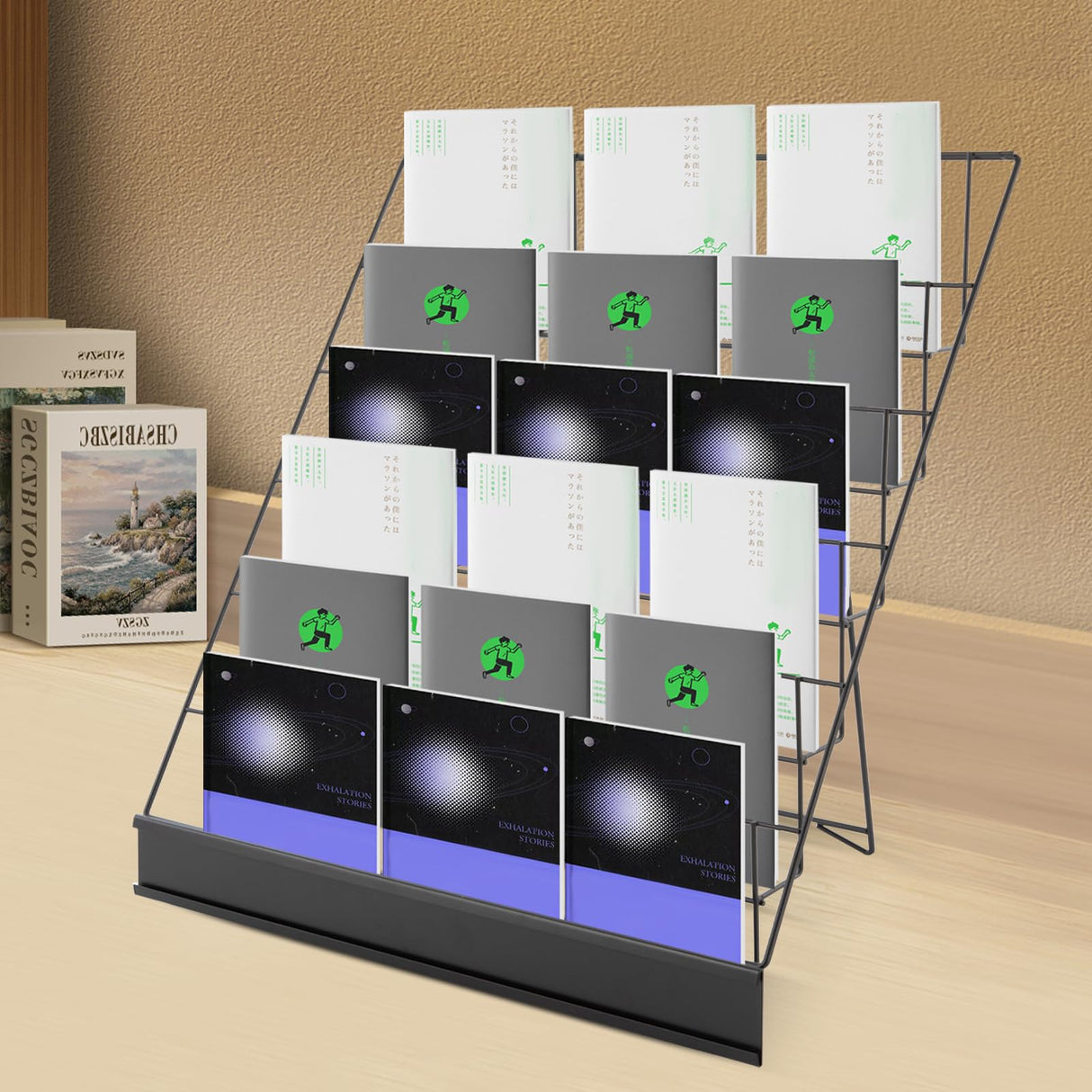 LyeXD 6 Tier Book Display Rack, Comic Book Display Wire Rack Greeting Card Display with Panel Fence, 18" Brochure Display Stand Tabletop CD Display Magazine Rack for Library Classroom (Black) LyeXD