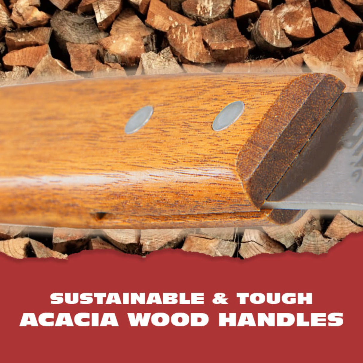 BBQ-Aid Grill Brush and Scraper for Barbecue – Grill Brush for Outdoor Grill with Extended, Large Wooden Handle and Replaceable Stainless Steel Bristles Head –No Scratch- BBQ Grill Brush for Any Grill BBQ-Aid