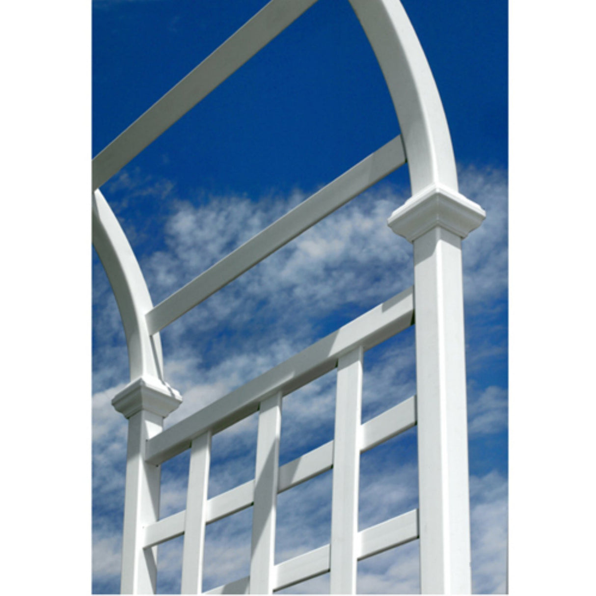 Athens 39"W x 81"H Vinyl Arbor Vita