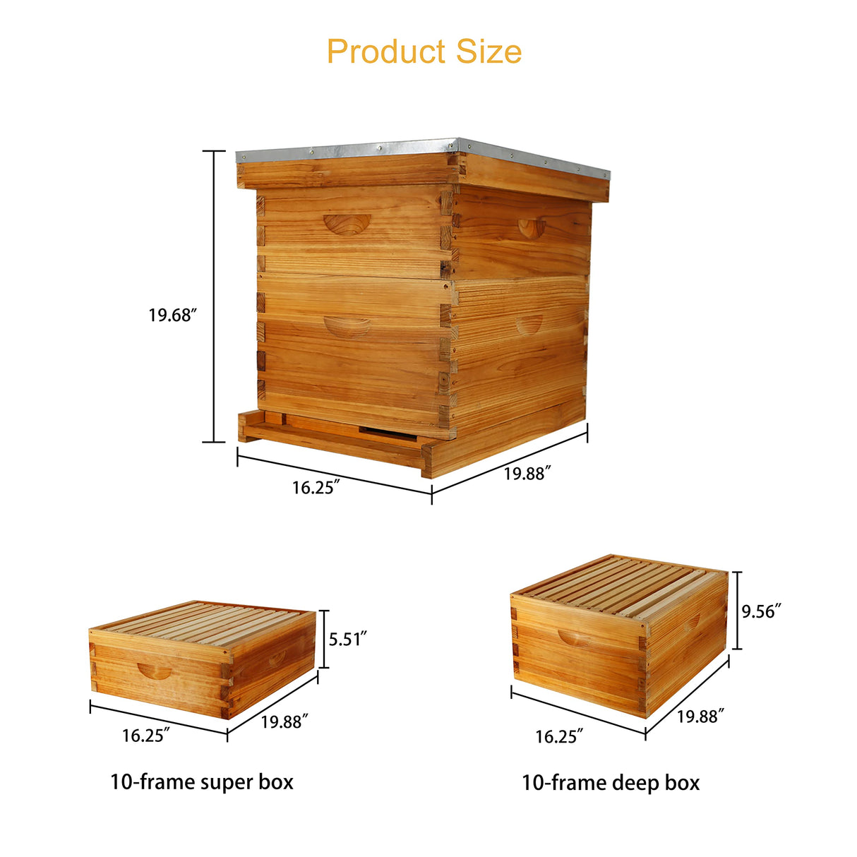 ThxBees 10-Frame Bee Hive Complete Beehive Kit Beeswax Coated Beehive Include Frames and Foundation Sheets for All Beekeeping Levels (1 Deep & 1 Medium Bee Boxes) ThxBees