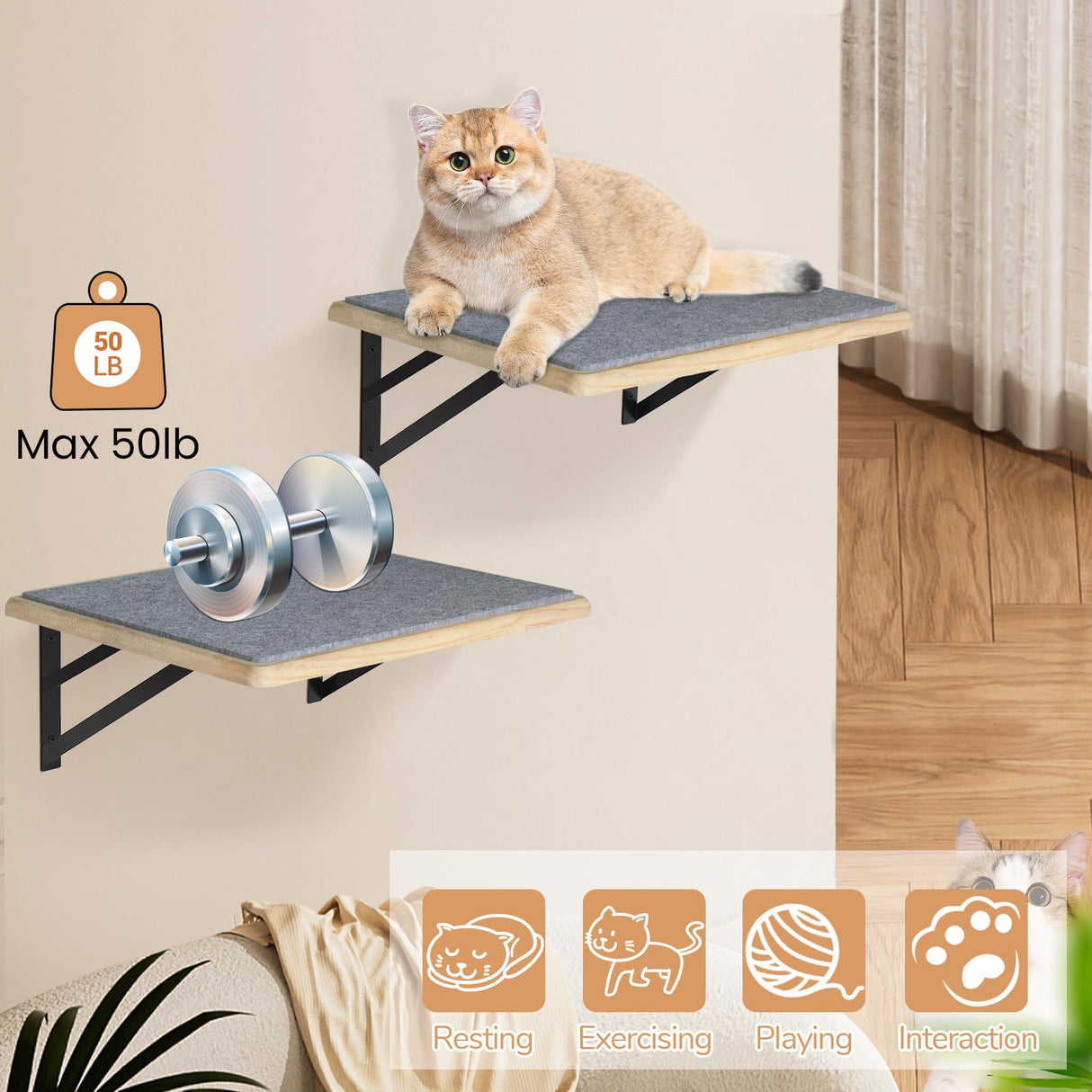 Cat Wall Shelves Set of 2, Wood Cat Shelves for Wall, Cat Wall Bed Hammock with Scratching Pad, Cat Climbing Shelf for Sleeping Playing, Cat Window Perch for Big Cats, Burlywood Cat Furniture Indoor GADKE