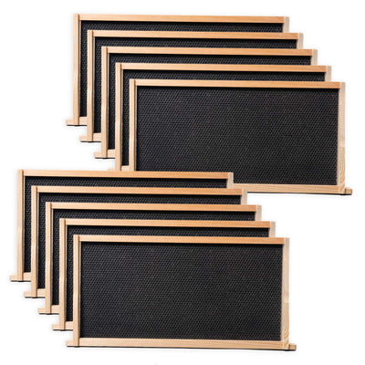BeeCastle 10 Pack Beehive Frames and Wax Foundations for Deep Brood Bee Hives with Wooden Bee Hive Frames and 100% Beeswax Coated Foundations, 9-1/8-Inch (Black)