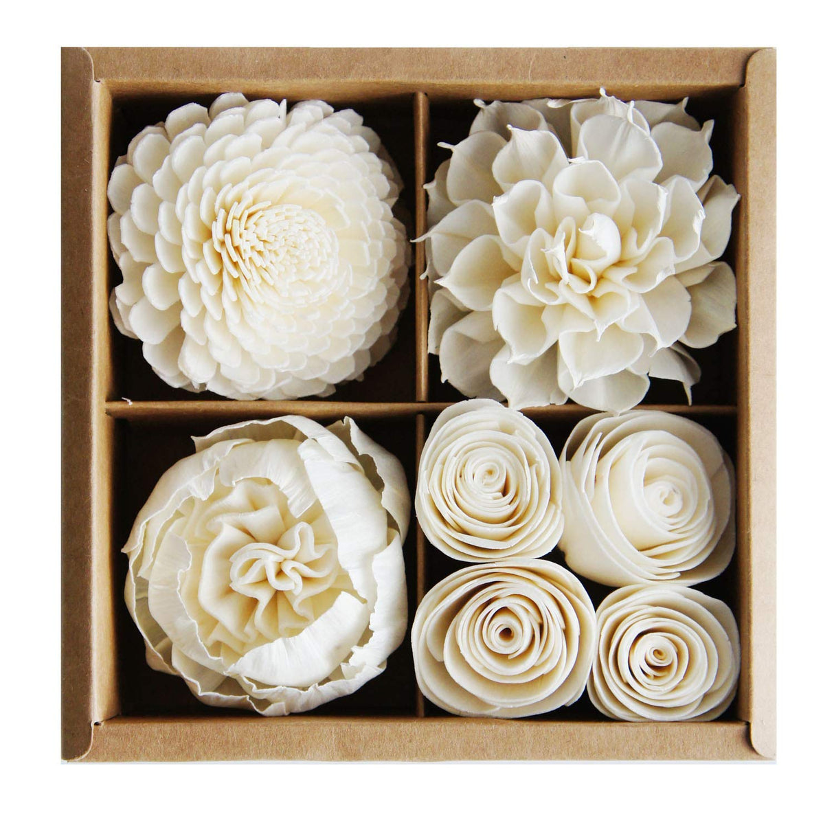 Mixed White Sola Flower with Cotton Wick Diffuser Set Replacement for Home Fragrance by Plawanature plawanature
