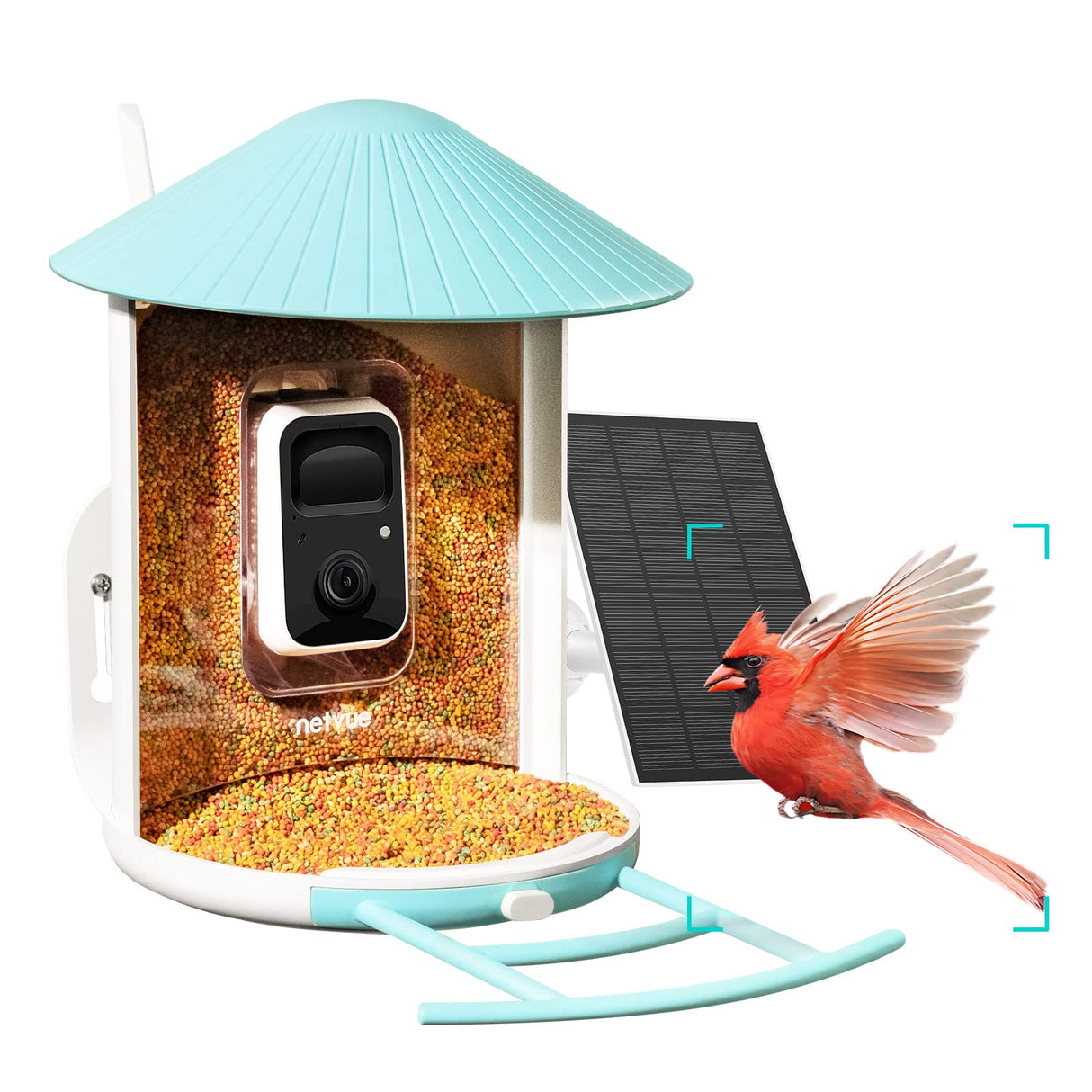 NETVUE Birdfy Lite - Smart Bird Feeder with Camera, Bird Watching Camera, Auto Capture Bird Videos & Motion Detection, Wireless Camera Ideal Gift for NETVUE