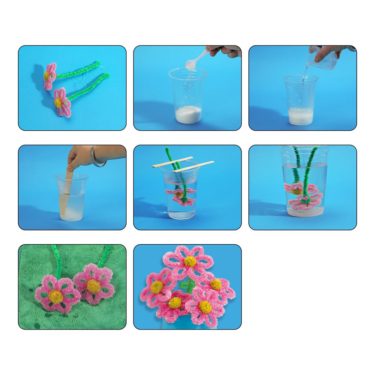 Crystal Flower Growing Kit - Crafts for Girls Ages 6-8 - Create Flowers Crystals Science Experiment Kit - STEM Educational Toys Gifts for 6+ Eggbox