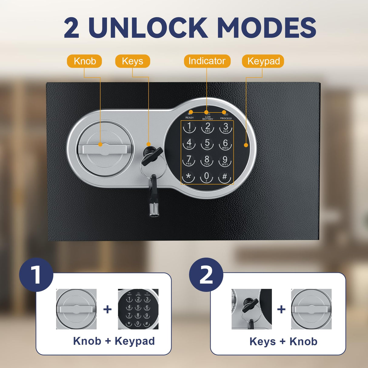 DASHEENCO 0.5 Cuft Steel Security Safe, Lock Box with Electronic Keypad & Emergency Keys, Anti-Theft Home Safe Box for Cash, Documents, Handguns, Jewelry, Black DASHEENCO