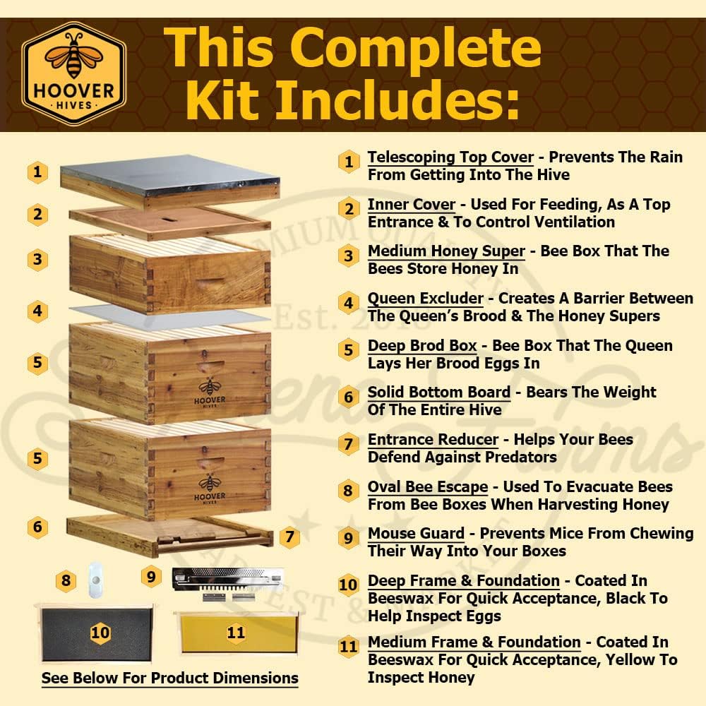 Hoover Hives 8 Frame Beehive Kit - Dipped in 100% Beeswax Includes Wooden Frames & Waxed Foundations (2 Deep Boxes, 1 Medium Box) Hoover Hives