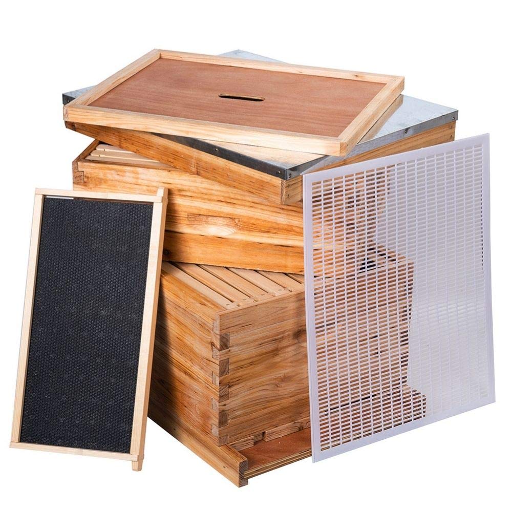 Beehive 8 Frame Bee Hives and Supplies Starter Kit, Bee Hive for Beginner, Honey Bee Hives Includes 1 Deep Bee Boxes, 1 Bee Hive Super with Beehive Frames and Foundation MayBee