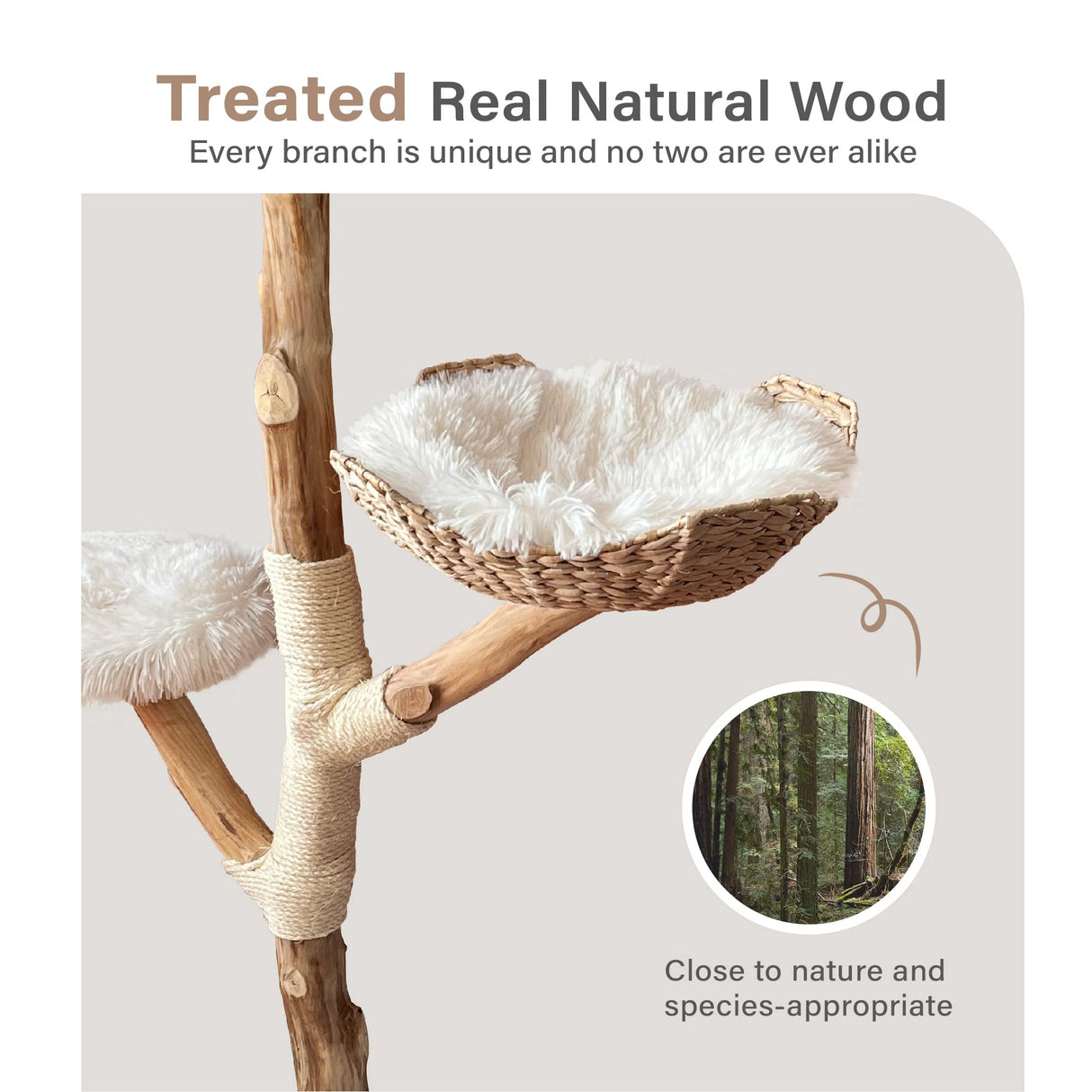 Injollylives Modern Cat Tree Tower, Wooden Cat Tower, Heavy Duty Cat Trees for Large Cats, Unique Handmade Aesthetic Cat Tree with Real Wood Branches, Luxury Boho Cat Furniture, Large InJollyLives