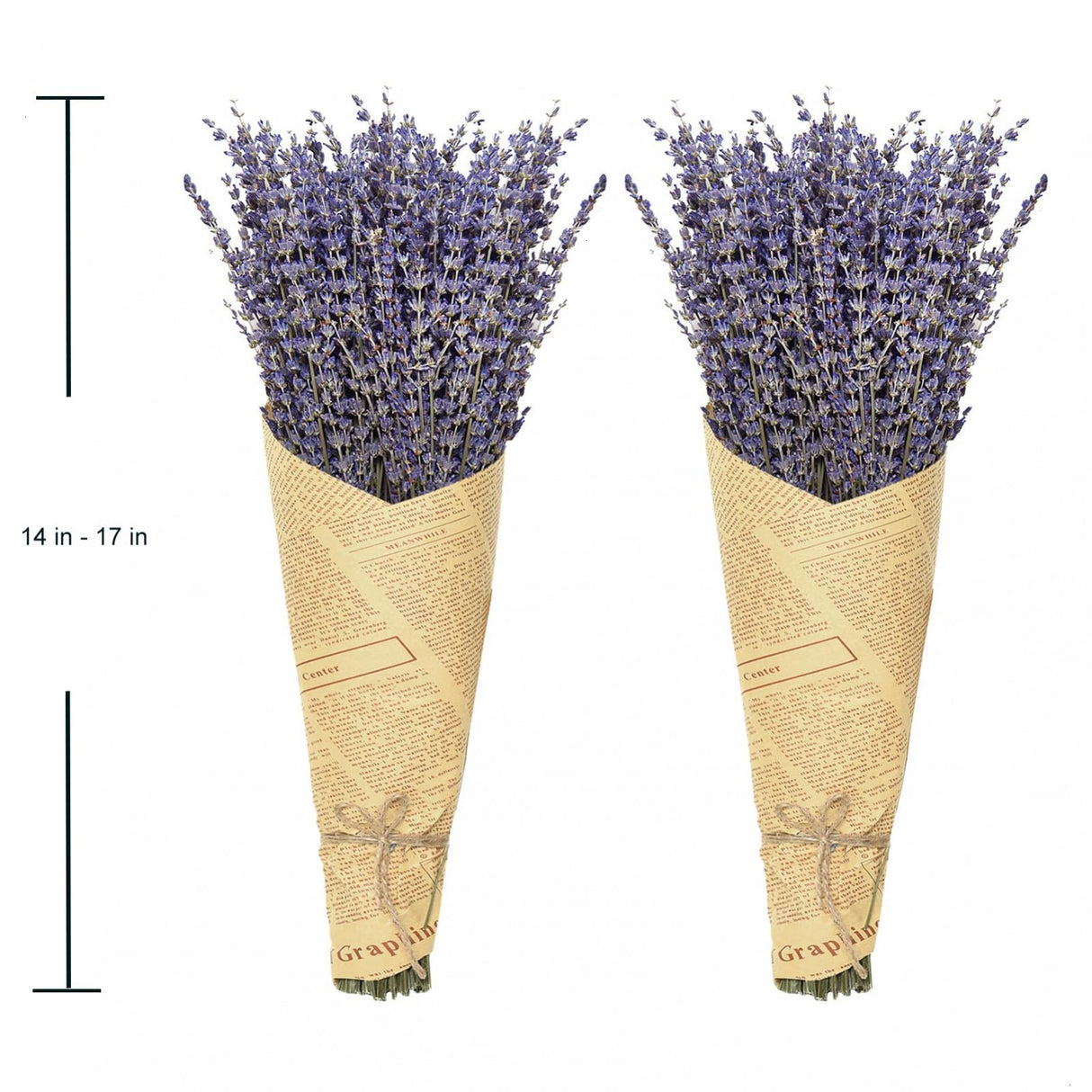 Timoo Dried Lavender Bundles 100 Natural Dried Lavender Flowers for Home Decoration, Photo Props, Home Fragrance, 2 Bundles Pack Timoo