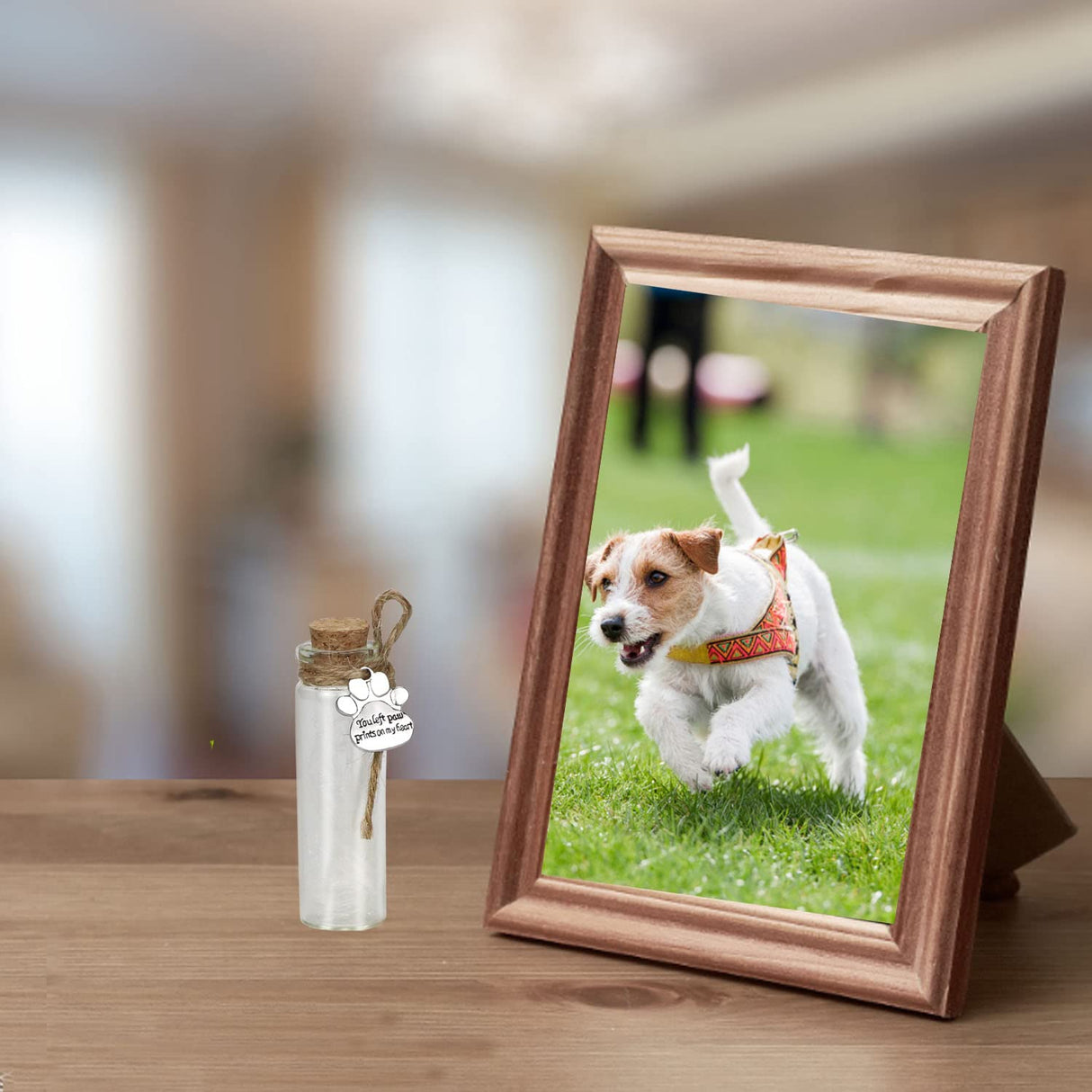 Pet Hair Memorial Bottle,Glass Vial for Ashes Or Hair Dog Or Cat Keepsake Pet Loss Gift (Bottle) free-space