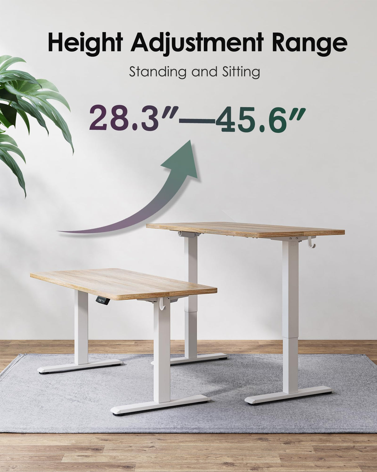 TIQLAB Height Adjustable Electric Standing Desk, 55 x 24 inch, Sit Stand Up Desk, Splice Board, Computer Home Office Desk, White Frame/Maple Top TIQLAB