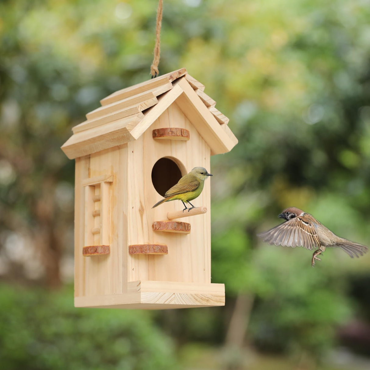 Wooden Bird House Kit,Birdhouse Kits for Adults to Build,Bird Houses for Outside,Woodworking Adult Crafts & DIY Bird House XDYGHH