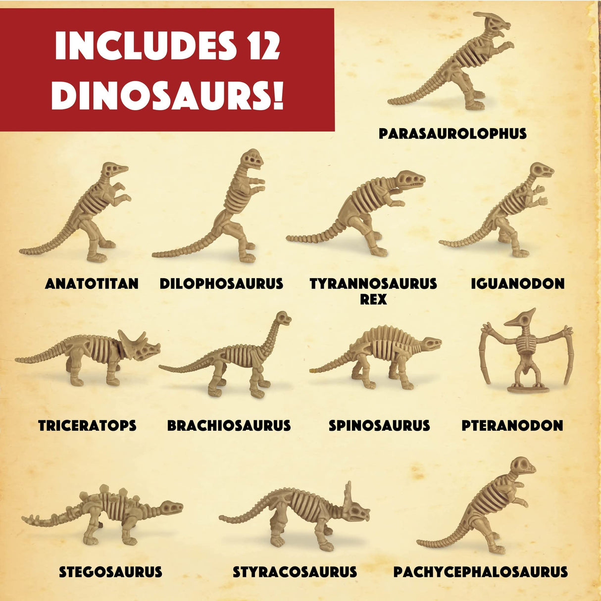 MindWare Dig It Up! Dinosaur Skeleton Eggs Excavation kit - Comes with 12 Clay Eggs, 12 Chisel Tools and 12 Instruction Sheets MindWare