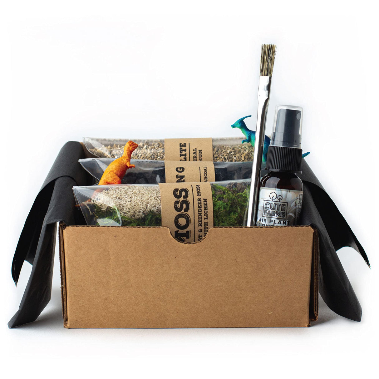 Cute Farms Terrarium Starter Kit | Moss, Vermiculite, Soil, Plant Food, Brush, Build and Care Guide | DIY Succulent Terrarium Kit for Adults and Kids Cute Farms