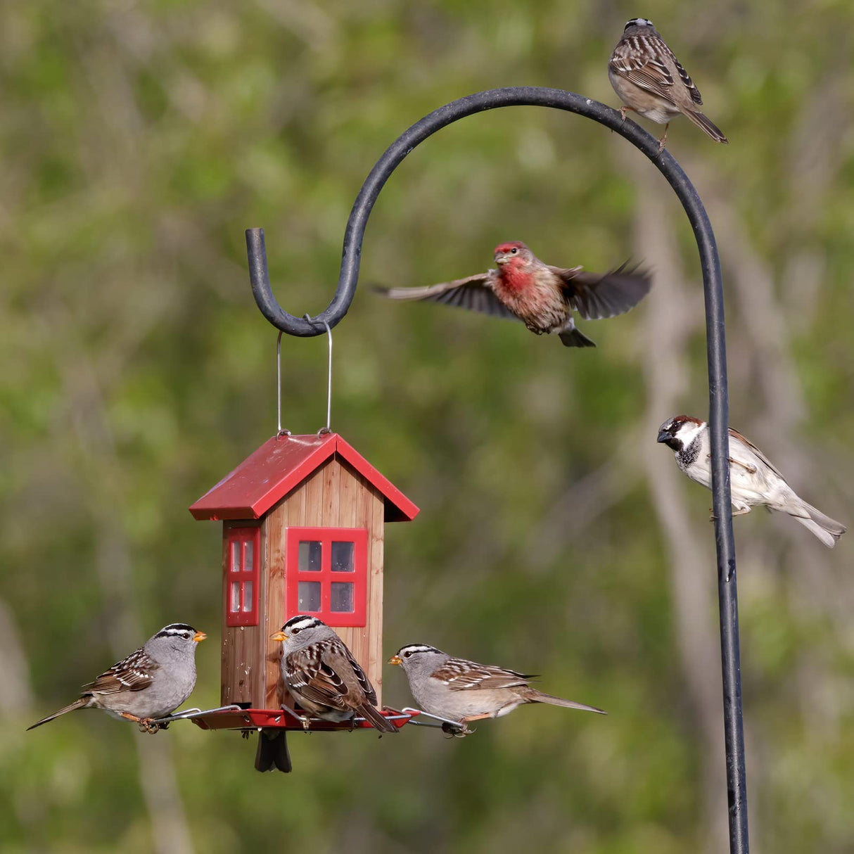 Kingsyard Cute Bird House Feeders for Outside, Hanging Metal Bird Feeder with 4 Ports, Outdoor Garden Yard Decorations for Cardinals Finches Chickadees Goldfinches & Sparrows Birds Watching Kingsyard