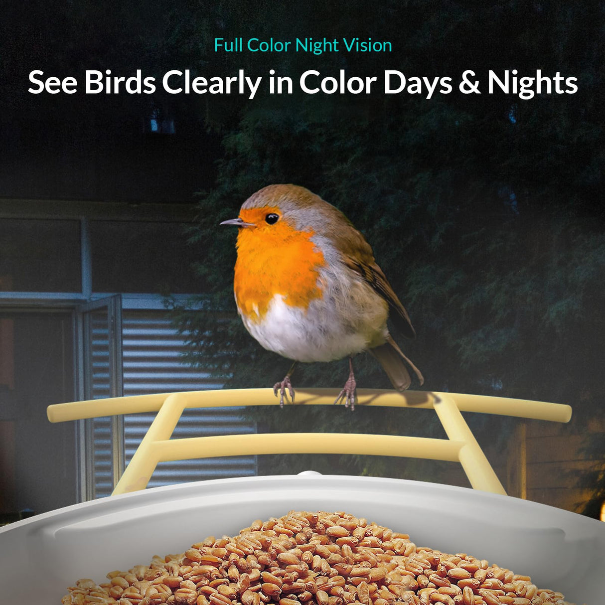 NETVUE Birdfy AI - Smart Bird Feeder with Camera with Solar Panel, Free AI Forever, Auto Capture & Identify 6000+ Bird Species, Bird Videos for NETVUE