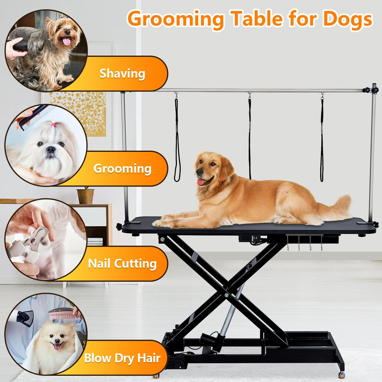 GarveeLife 48" Hydraulic Dog Grooming Table for Pet, Heavy Duty Structural Hydraulic Max Load 350Lbs Professional Pet Grooming Table with Adjustable Overhead Arm & Noose Height Range 9.4''-39.4'' GarveeLife