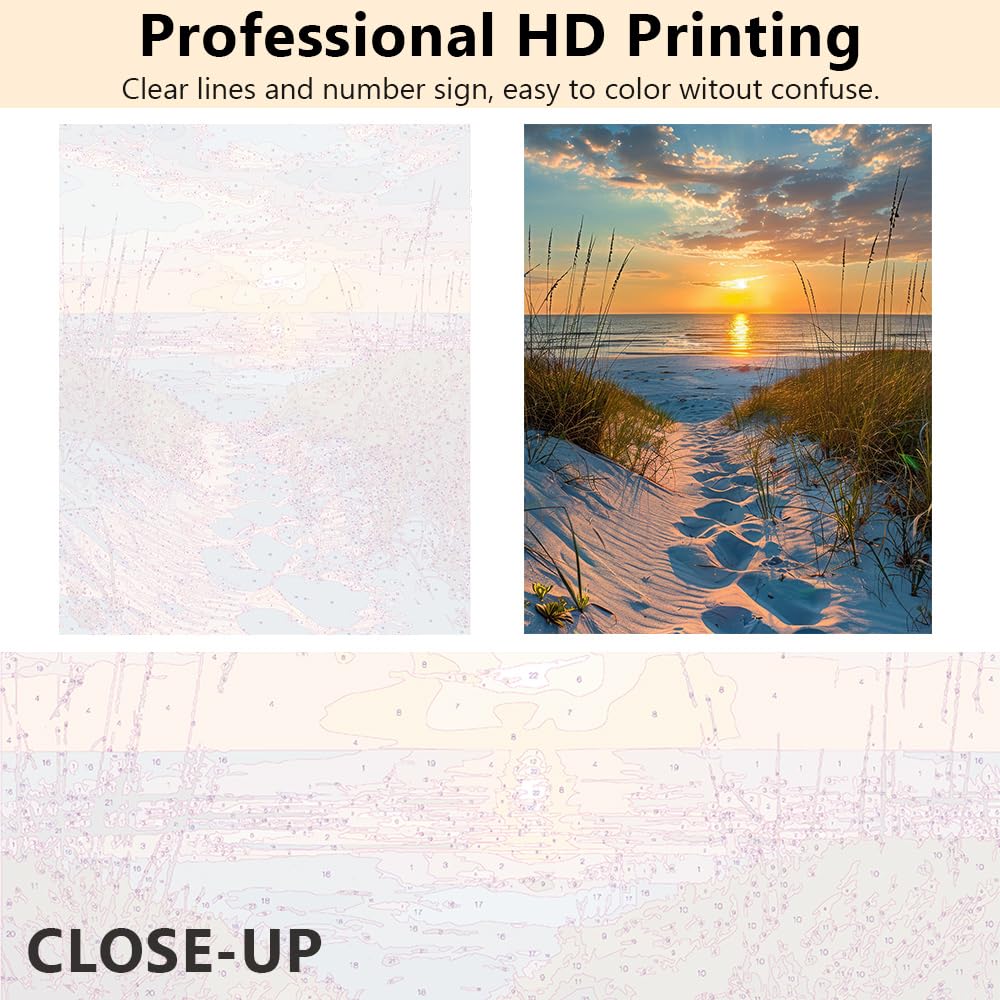 Paint by Number for Adults Beginner,Sand, Grass, and Ocean Waves Paint by Numbers,Seaside Sunset Paint by Numbers Kits Suitable for Home Wall Decoration 16x20 Inch Rebotipy