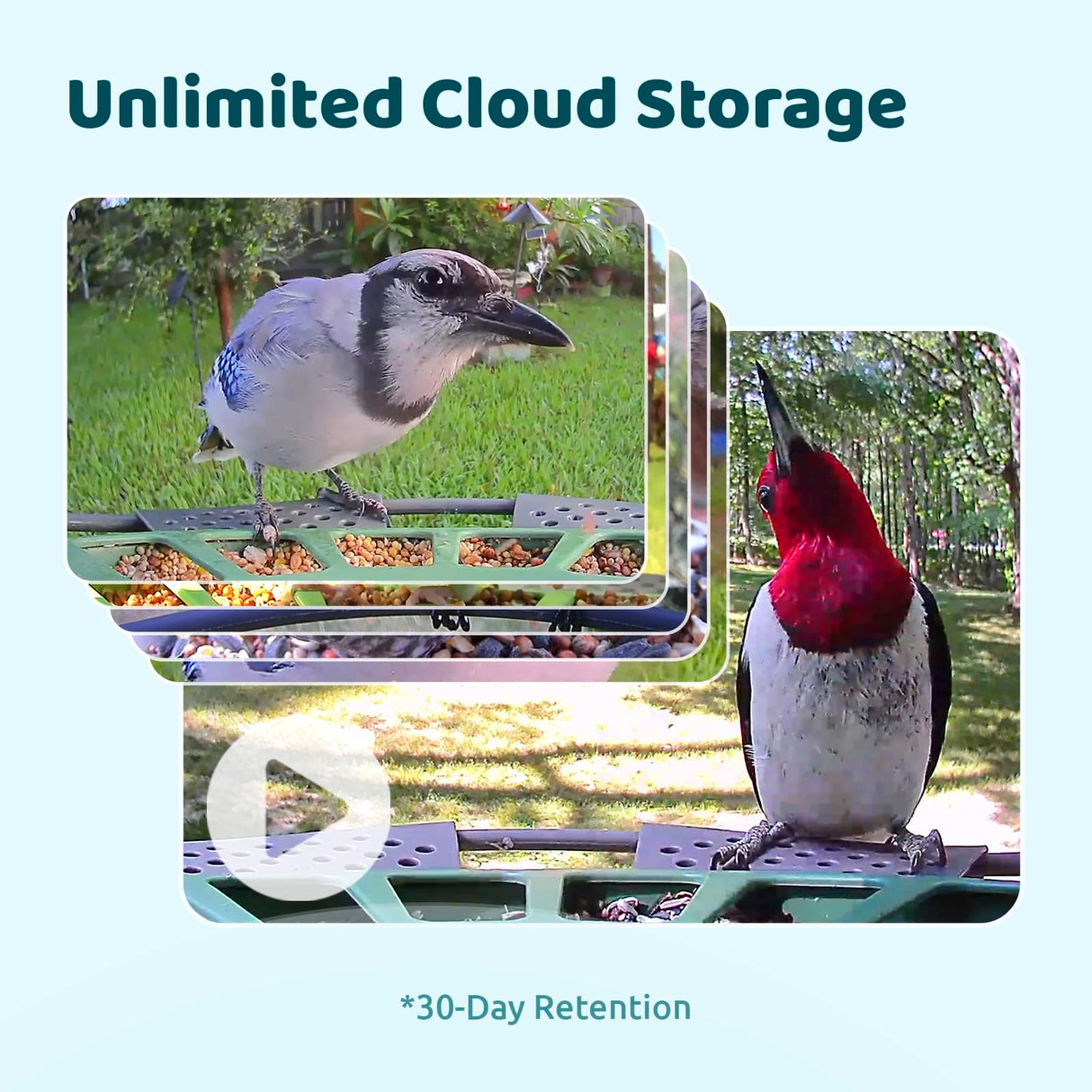 Birdfy 2 Smart Bird Feeder 3 Lenses & 2 Cameras, Dual Angles, Solar-Powered, Wireless Birdwatching, Permanent AI Identify 6000+ Bird Species & Motion Detection, Gift Present Birdfy