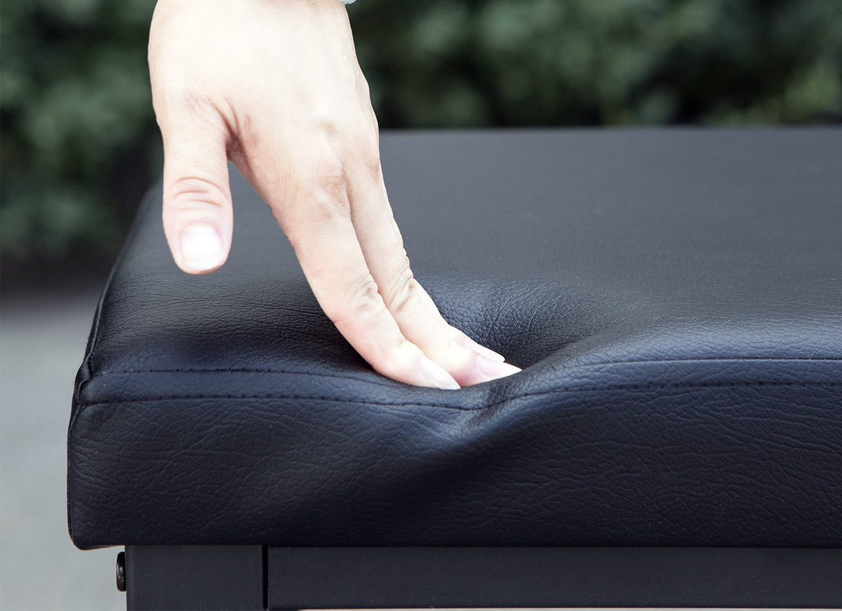 Finnhomy Entryway Shoe Rack with Cushioned Seat, Shoe Bench for Entry, 2 Shelves Storage Bench w/Faux Leather Top Bed Bench, Black Finnhomy