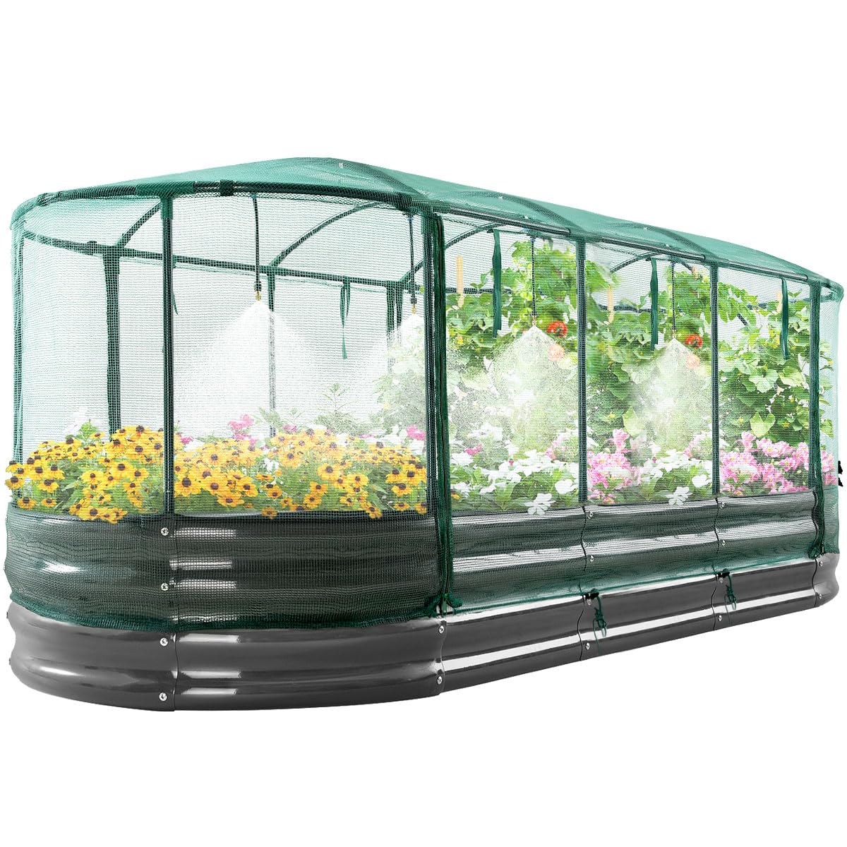 Quictent Galvanized Raised Garden Bed Kit with Self Watering System and Mesh Cover, Large Oval Metal Outdoor Planter Garden Boxes for Vegetables Herbs Flowers, 8x3x1Ft Quictent
