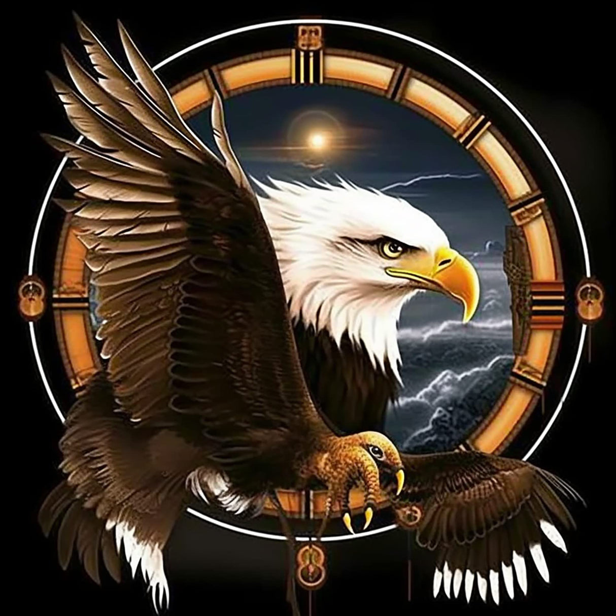 VAIIEYO 5D Diamond Art Kits for Adults Eagle, Diamond Painting Dreamcatcher, Paint by Numbers Animal Bird Full Drill Round Rhinestone Craft Canvas for Home Wall Decor Gift 35x35 cm VAIIEYO