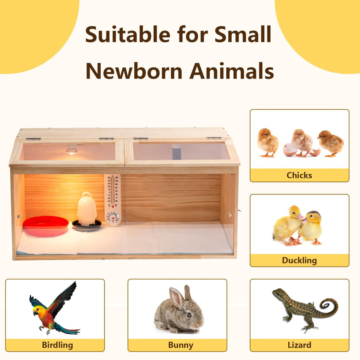 Large Wooden Chicken Brooder Box with Bulb Set and Thermometer - Brooder Box for Chicks Indoor Accommodates Up to 25 Chicks - Ideal for Chickens, Ducks, Quails, Hamsters, and Lizards(32x16x16 Inches) UYDJKLS
