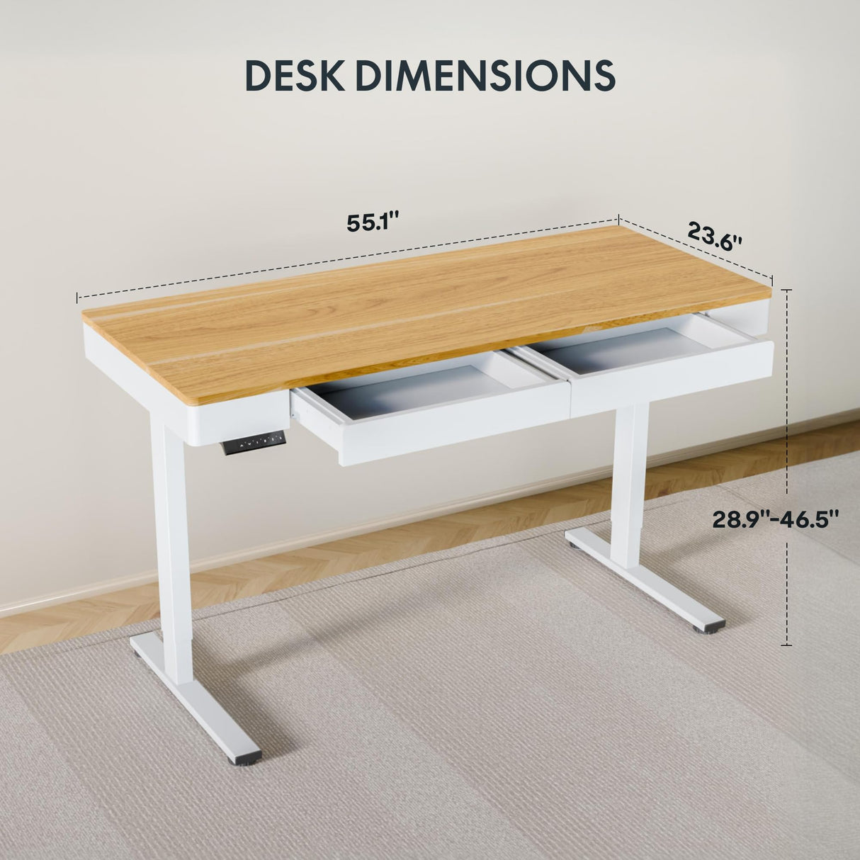 FLEXISPOT 55 x 24 Inch with Double Drawers Q5 Standing Desk, Electric Adjustable Height Stand Up Desk with 4 Preset Heights Whole Piece Wooden Desktop for Home, Office, Workstation, Maple FLEXISPOT