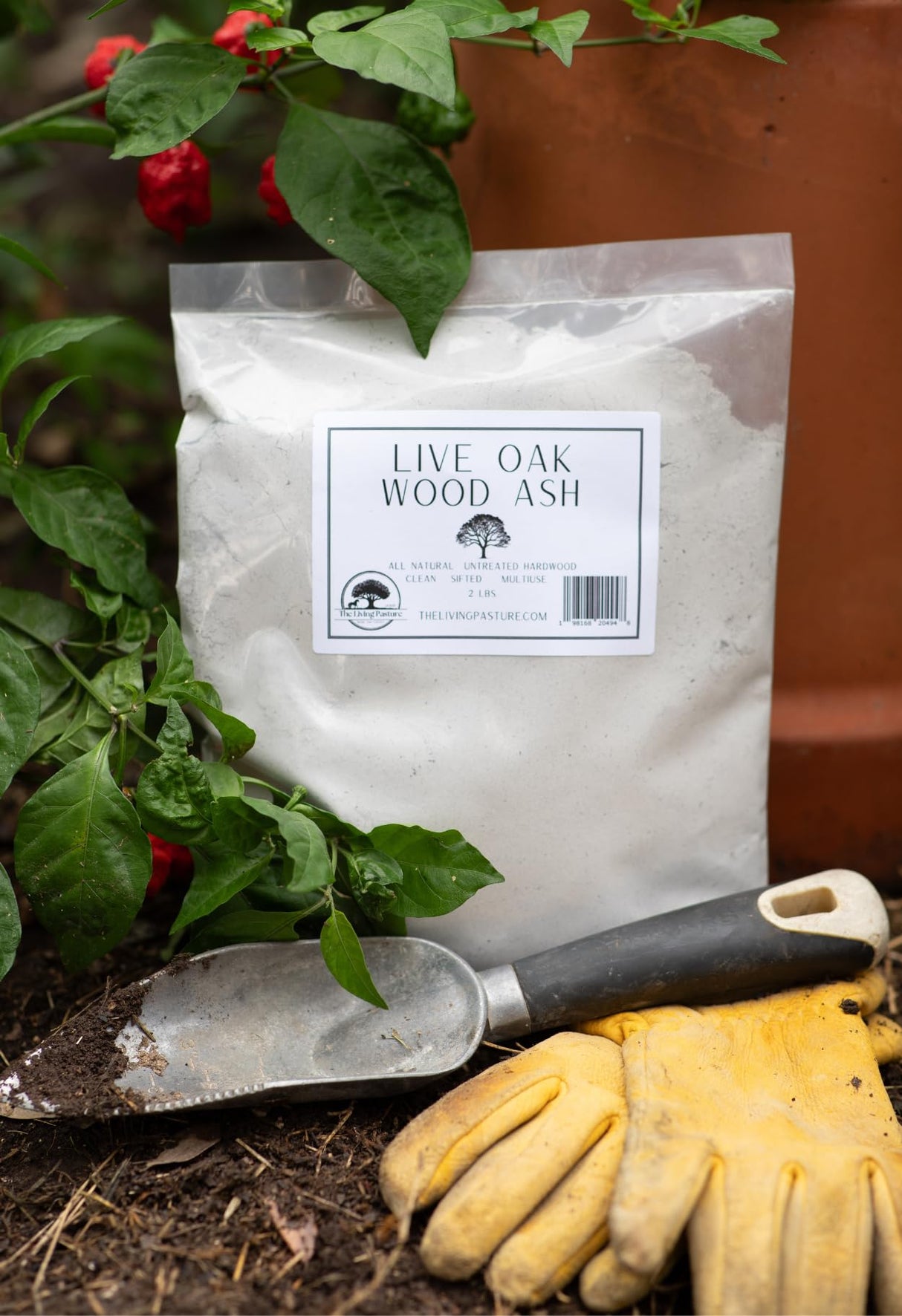 Live Oak Wood Ash - All Natural Clean Sifted Premium MultiUse Hardwood Ashes (2 lbs) The Living Pasture