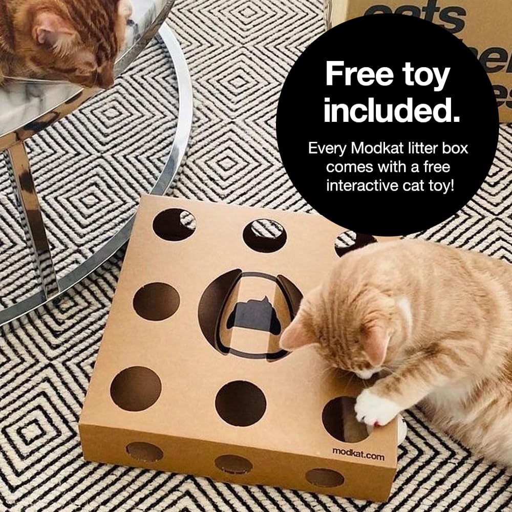 Modkat® Litter Box, Top-Entry, Full Height Seamless Base, Reusable Litter Liner, Sifting Litter Scoop, 2X Bamboo Charcoal Filters - White Modkat