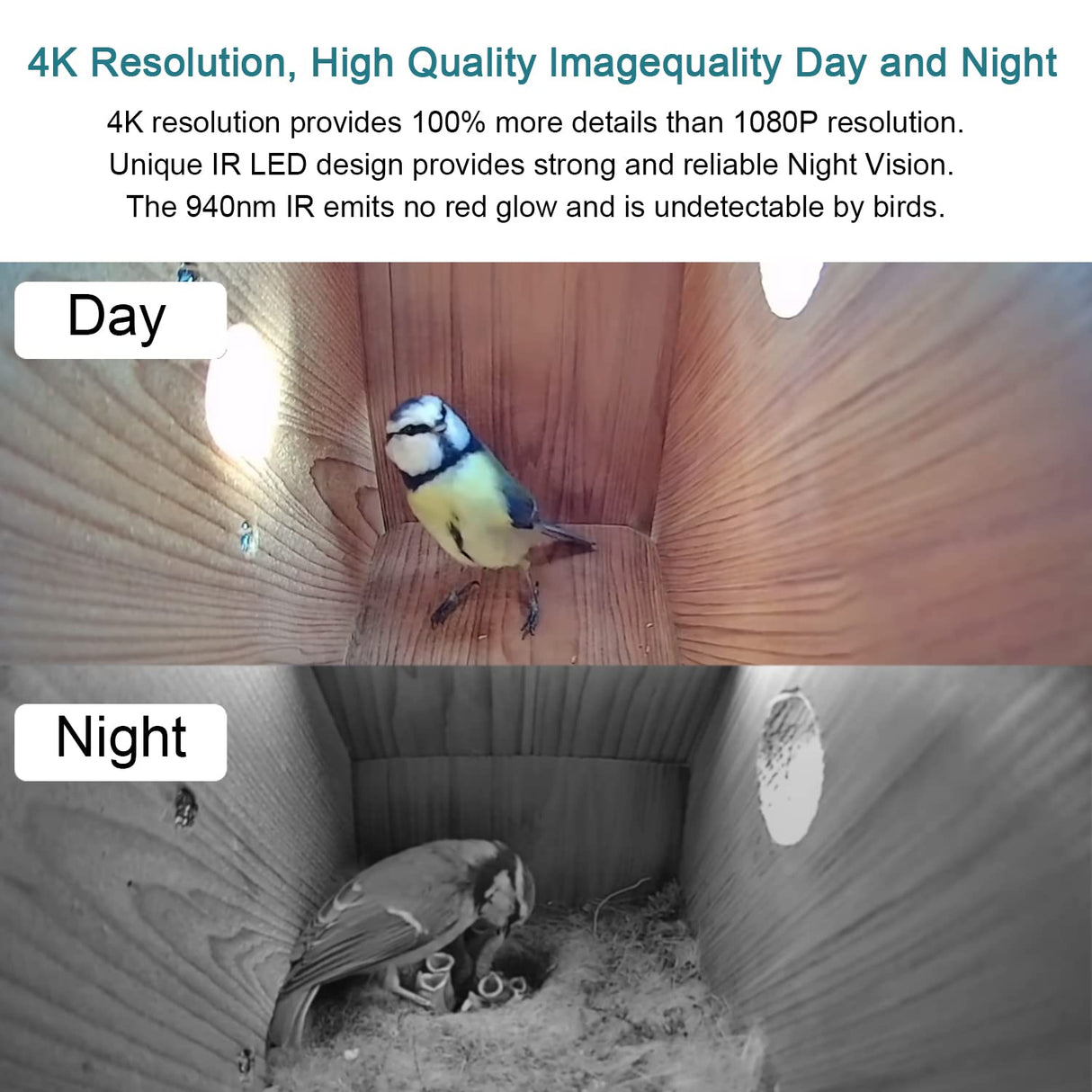 WIWACAM WiFi Bird Box Camera, 4K HD WLAN, Live Video to Phone, Easy Installation to Most of Bird Box Bird House Birdhouse Feeders Nesting, for Robins, Wrens, Tree Swallows, with Night Mode, Recording WIWACAM