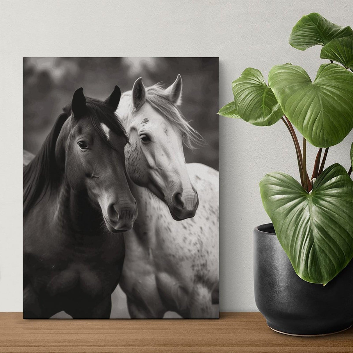 TKJMCSW Black and White Horses Paint by Numbers Kit for Adults Beginners Adult Paint by Number Kits on Canvas DIY Acrylic Oil Paints Paintwork with Paintbrushes for Gift Home Wall Decor 12x16inch TKJMCSW