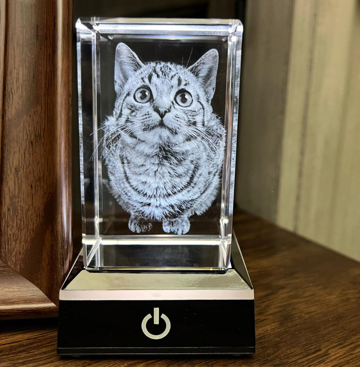PD 3DPIXDANCE 3D Crystal Photo, Personalized Dog, Cat Memorial Gifts for Pet Owners. Gift Box Included, Customized Laser Etched Crystal Photo (Small Portrait) PD 3DPIXDANCE