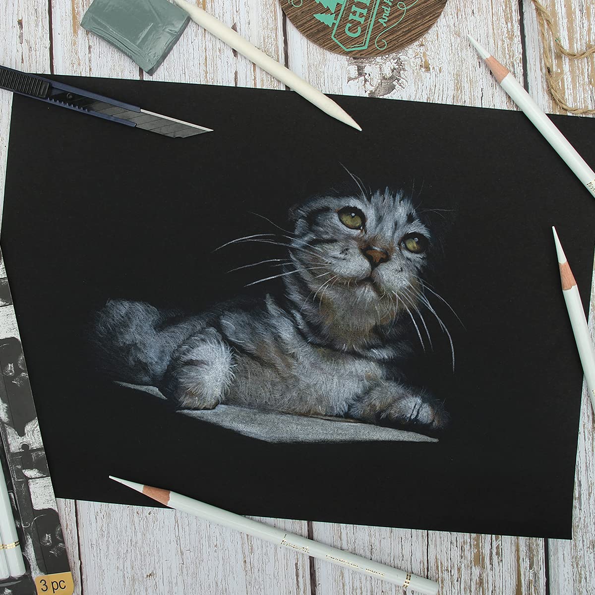 Professional White Charcoal Pencils Set - Brusarth 3 Pieces Sketch Highlight White Pencils for Drawing, Sketching, Shading, Blending, White Chalk Pencils for Beginners & Artists Brusarth