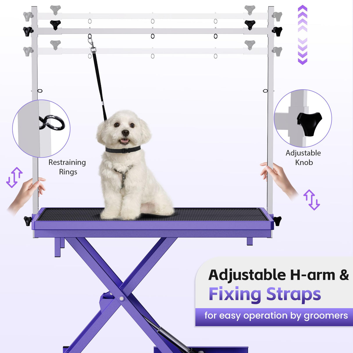 Flying Pig Ultimate Heavy Duty Grooming Table – Electric Lift, Adjustable Height, Non-Slip Surface, Professional Dog & Cat Grooming Arm, Stable & Safe Design for Home and Salon Use -Purple Flying Pig Grooming