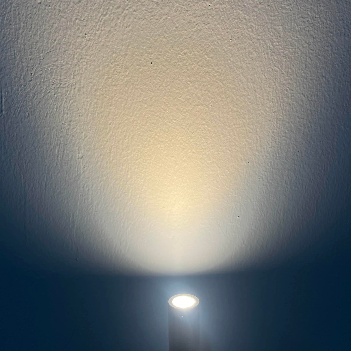 Taysing LED Reading Light 3W 270lm Dimmable Timing Wall Mounted Reading Lamp Wall Sconces Bed Lamps Task Directional LED Gooseneck Light for Bedside Headboard Bunk Bed 2 Pack(Soft White 3000K) Taysing