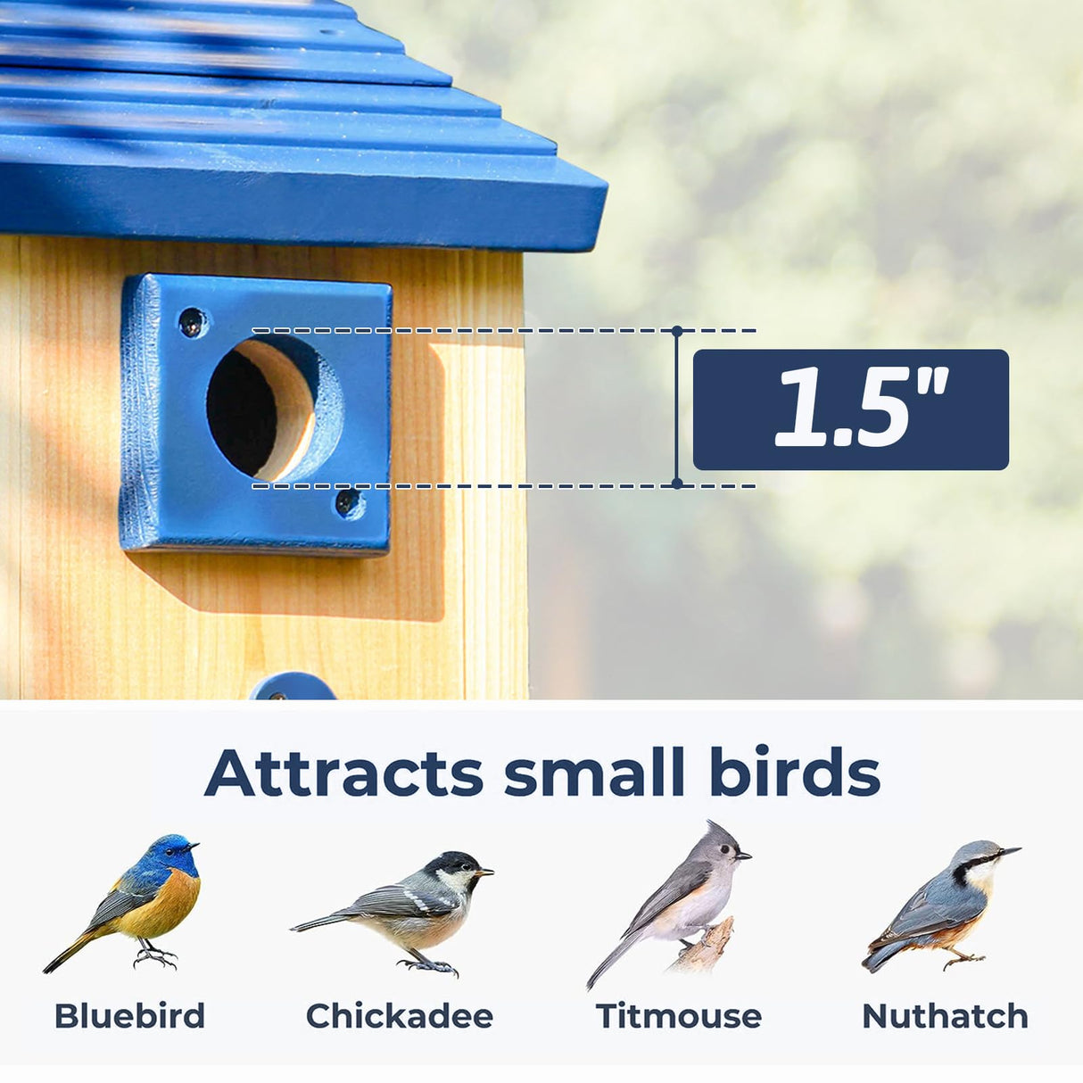 Cedar Alpha 2pc Bluebird Houses Nesting Box - XL Size 13" Heavy Duty Birdhouses for Outside - Wall Tree Pole Mountable - 1.5” Hole 13/16" Thickness - Large Inside Space - Tree Tie Bending Updated CEDAR ALPHA