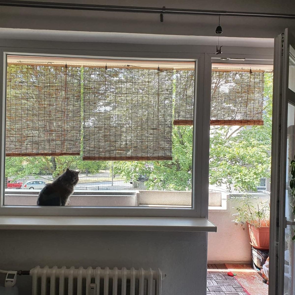 VELLOW Patio Shades Roll Up Outdoor, Bamboo Blinds for Window, Reed Roller Blinds, Cordless Blackout Bamboo Shade, Privacy Curtain, 24″ 30″ 34″ 36″ 39″ 43″ 48″ 55″ 70″ Width, UV Resistant/Waterproof VELLOW